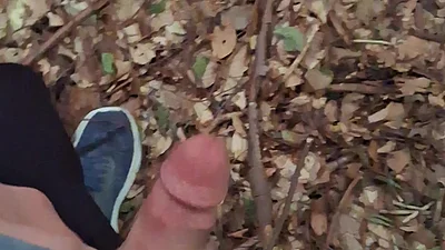 Pressure released in the forest