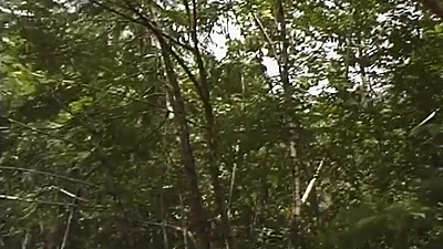Apex.
